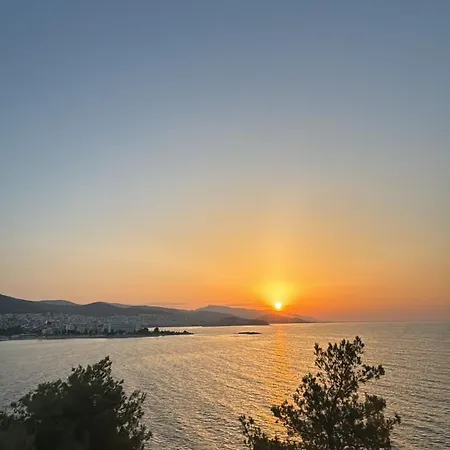 Royalty King * カヴァラ