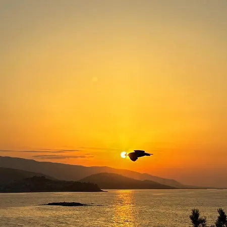 Apartamento Royalty King